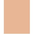Clarins Skin Illusion Natural Hydrating  30Ml 107 Beige  Spf15 Ženski (Makeup)