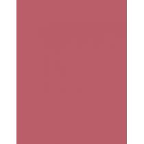 Max Factor Lipfinity 24Hrs  4,2G 001 Pearly Nude   Ženski (Šminka)