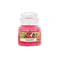 Yankee Candle Red Raspberry   104G    Unisex (Dišeca Sveca)