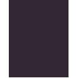 Inebrya Bionic Color      4/2 Chestnut Violet 100ml(Hair Color) Unisex