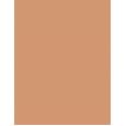 Estée Lauder Double Wear Sheer Long-Wear Makeup  30Ml 4N2 Spiced Sand  Spf20 Ženski (Makeup)