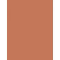 Estée Lauder Bronze Goddess   21G 02 Medium   Ženski (Bronzer)