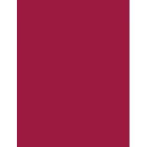 L'Oréal Paris Color Riche 1,2G    (Lip Pencil) Ženski  2010 Laprune