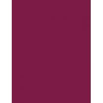 Rimmel London Lasting Provocalips  3,9Ml  Ženski  (Lipstick) 16HR 440 Maroon Swoon