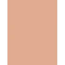 Shiseido UV Protective Compact Foundation  SPF30   Medium Beige 12g(Makeup) Ženski