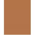 Shiseido Synchro Skin Correcting GelStick     401 Tan 2,5g(Corrector) Ženski