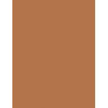Shiseido Synchro Skin Correcting GelStick     401 Tan 2,5g(Corrector) Ženski