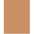 Clinique Beyond Perfecting Foundation + Concealer  30Ml 10 Honey Wheat   Ženski (Makeup)