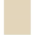 Inebrya Bionic Color      10/13 Blonde Platinum Beige 100ml(Hair Color) Unisex