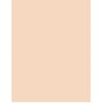 Missha M Perfect Cover BB Cream EX  SPF42   No.13 Bright Beige 20ml(BB Cream) Ženski