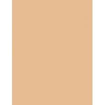 Shiseido Synchro Skin      5,8Ml Ženski (Corrector) Self-Refreshing