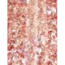 Sally Hansen Insta-Dri 9,17Ml    (Nail Polish) Ženski  258 Shooting Star